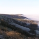 misty downs