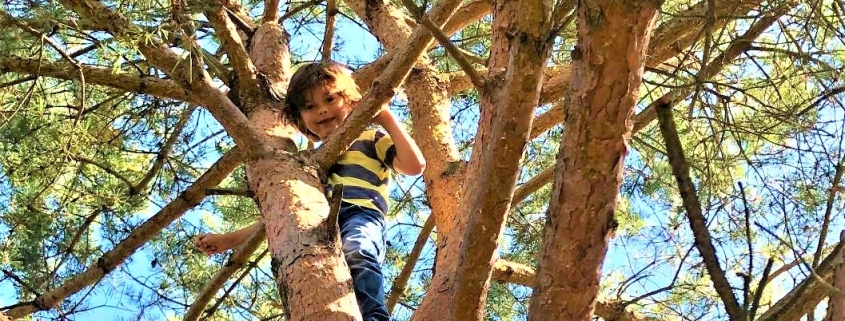 Child in Tree