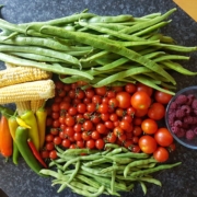 Garden Veg