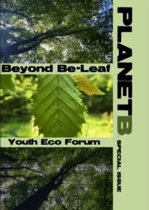 YEF special issue