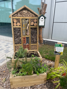 Pollination Education Station