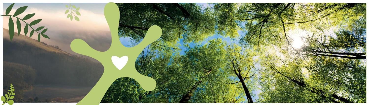 Trees Banner - 1500 x 430 px