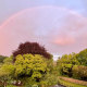 a rainbow arcing across the sky at dusk over lush trees
