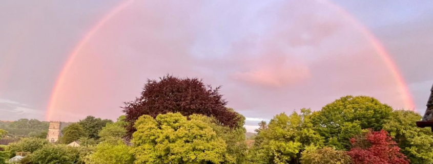 a rainbow arcing across the sky at dusk over lush trees
