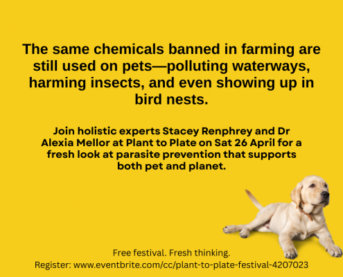 Dr Alexia Mellor at Plant