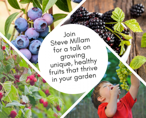 Plan your travel and explore the world with us