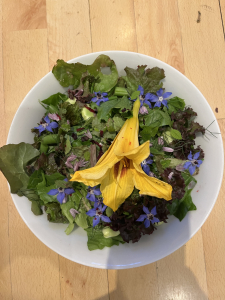 Mixed salad with edible flowers