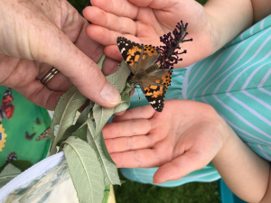 Butterfly in Childs hands