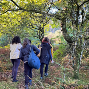 Stress Awareness Week - Walking in Nature
