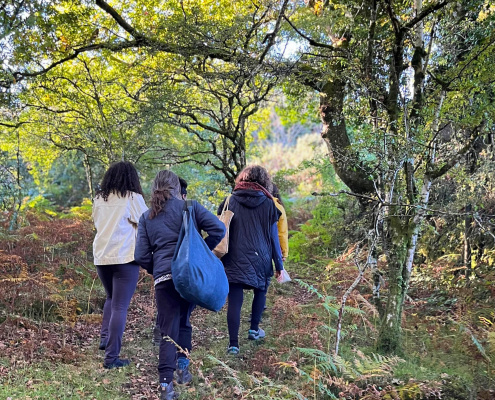 Stress Awareness Week - Walking in Nature