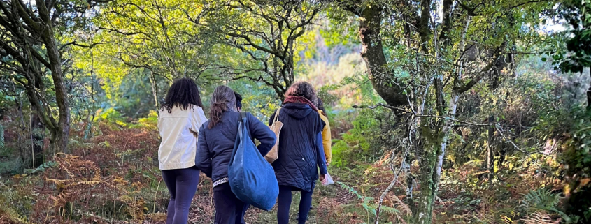 Stress Awareness Week - Walking in Nature