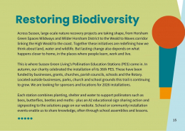 2025 Purpose & Impact Report – Page 15