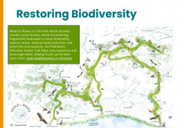 2025 Purpose & Impact Report – Page 19