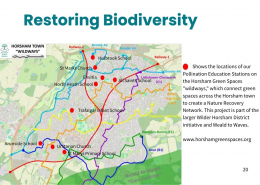 2025 Purpose & Impact Report – Page 20
