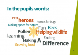 2025 Purpose & Impact Report – Page 37