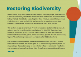 p15 2025 Purpose & Impact Report – Page 15