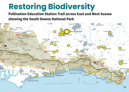 p18 2025 Purpose & Impact Report – Page 18