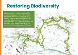 p19 2025 Purpose & Impact Report – Page 19