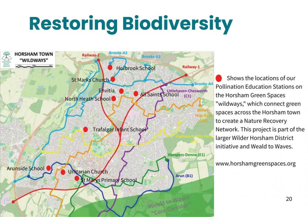 p20 2025 Purpose & Impact Report – Page 20