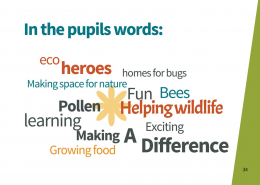 p34 2025 Purpose & Impact Report – Page 34