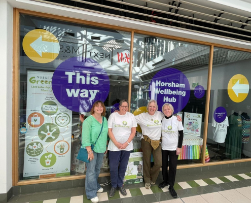 Sussex Green Living Pop-up Shop Swan Walk