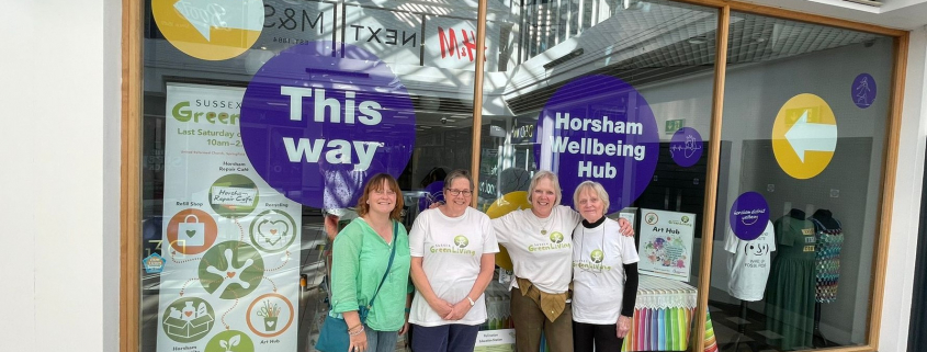 Sussex Green Living Pop-up Shop Swan Walk