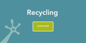 Recycling Recycling