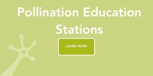 Pollination Education Stations Pollination Education Stations