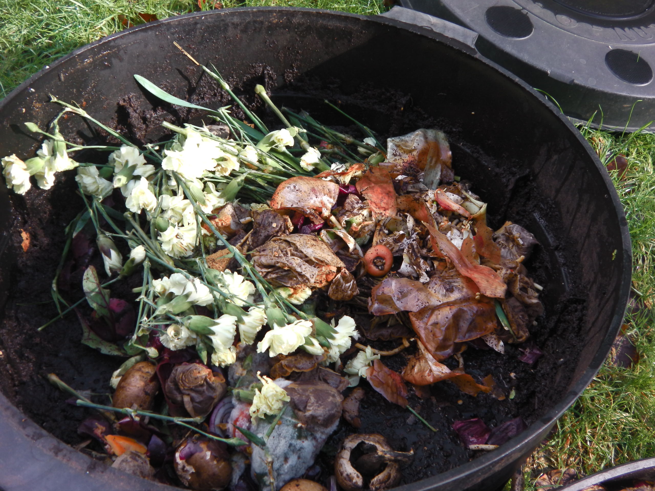 compost