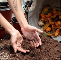 soil crop