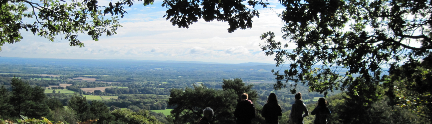 View NE from Blackdown