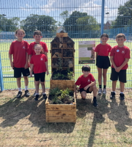 Hailsham Academy Pollination Education Station