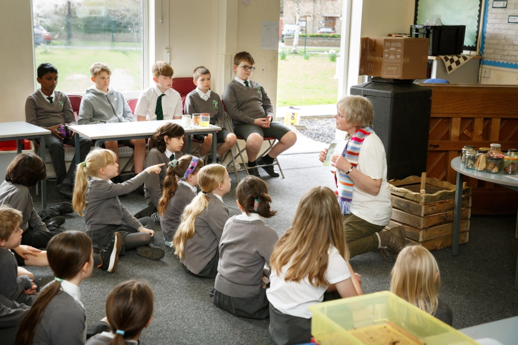 Environmental Education in Primary Schools