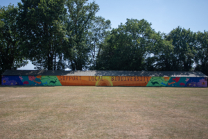 Full mural