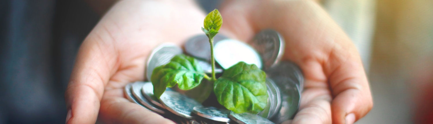 Fundraising for Sussex Green Living